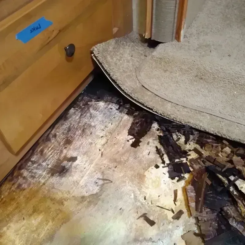 Wood Floor Water Damage in Seaside Park, NJ